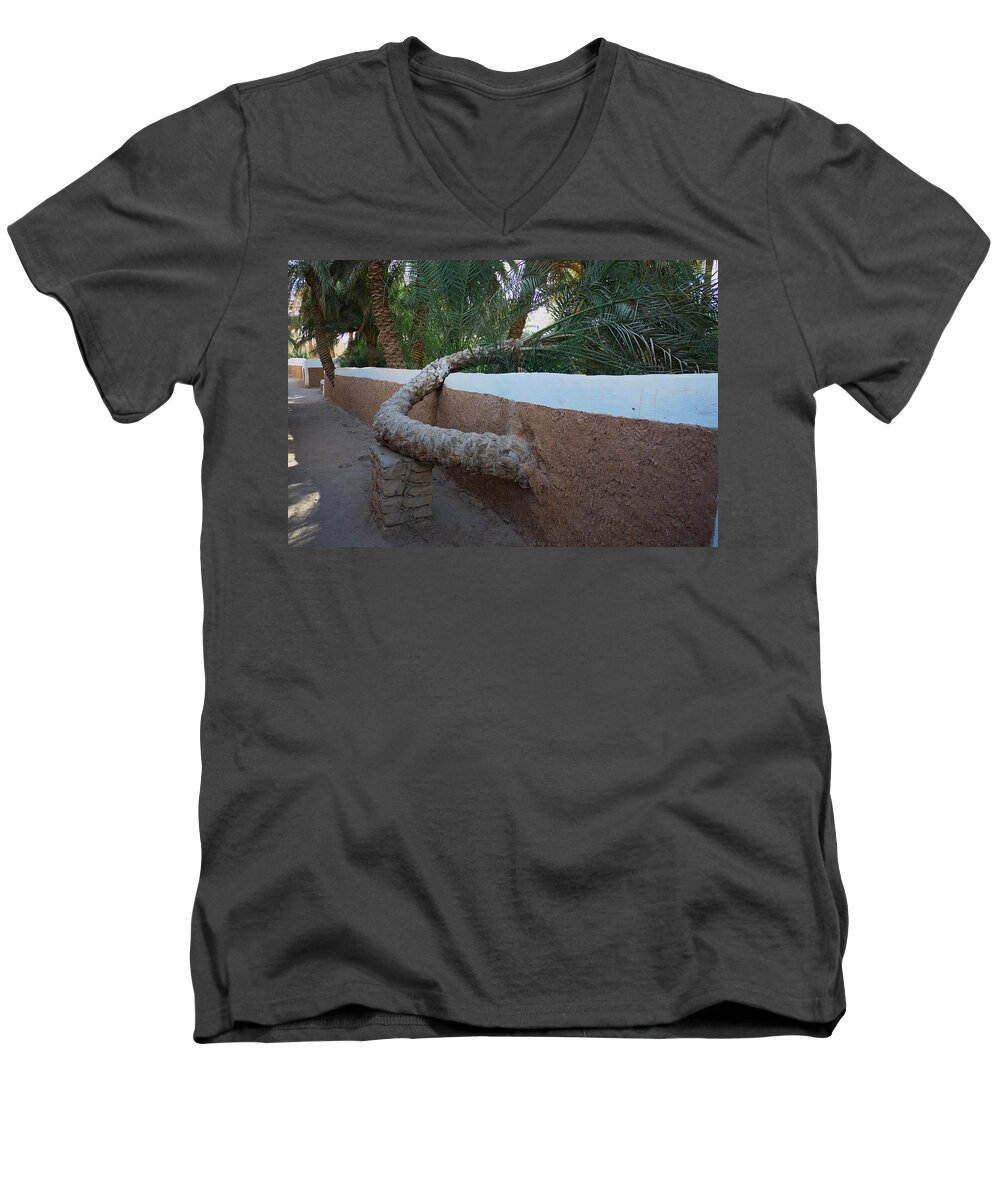 Palm Men's V-Neck T-Shirt featuring the photograph Support by Ivan Slosar