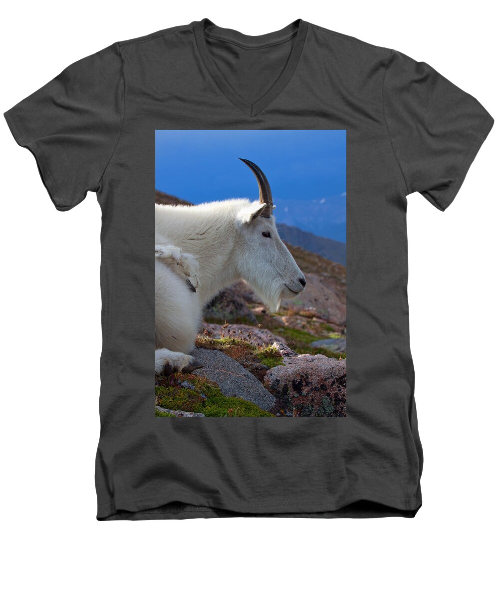 Mountain Goats Men's V-Neck T-Shirt featuring the photograph The Gathering Storm by Jim Garrison