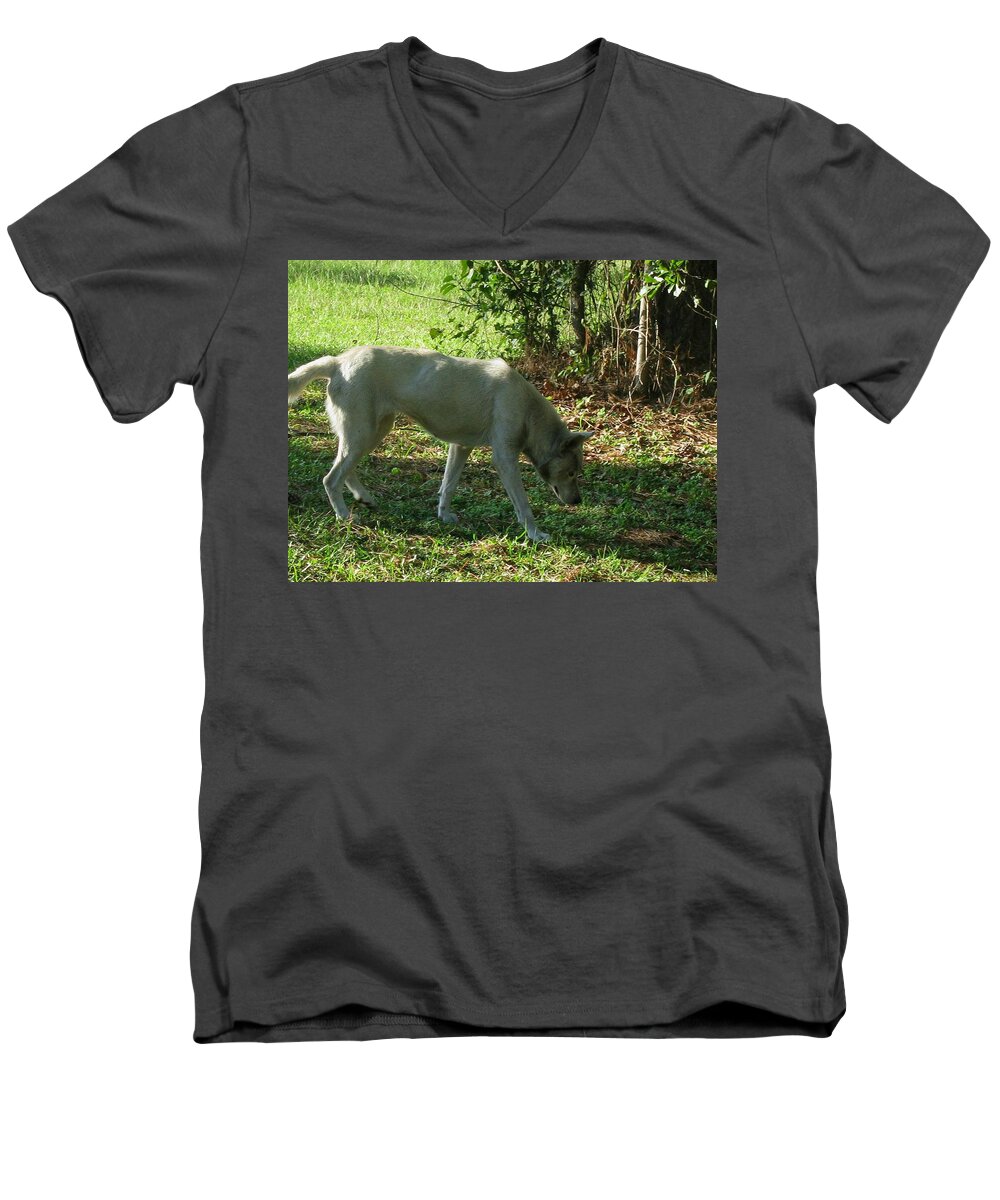 Wolf Men's V-Neck T-Shirt featuring the photograph The Tracker by Maria Urso