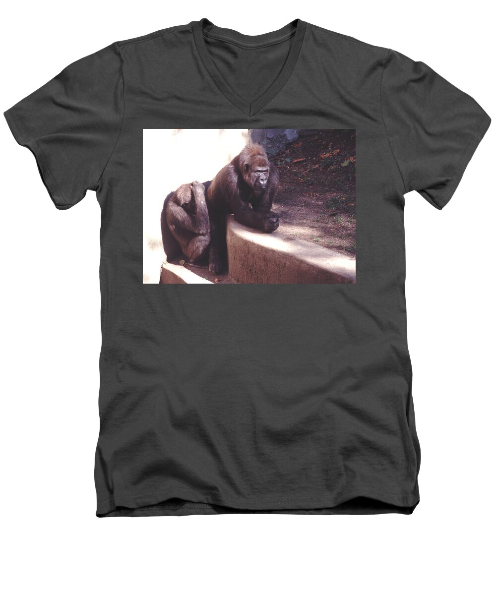 Nurturing Men's V-Neck T-Shirt featuring the photograph Thoughtful Gorilla by Tom Wurl