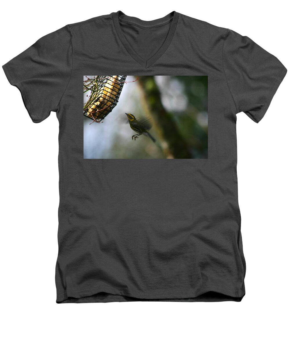 Birds Men's V-Neck T-Shirt featuring the photograph Townsend Warbler in Flight by Kym Backland
