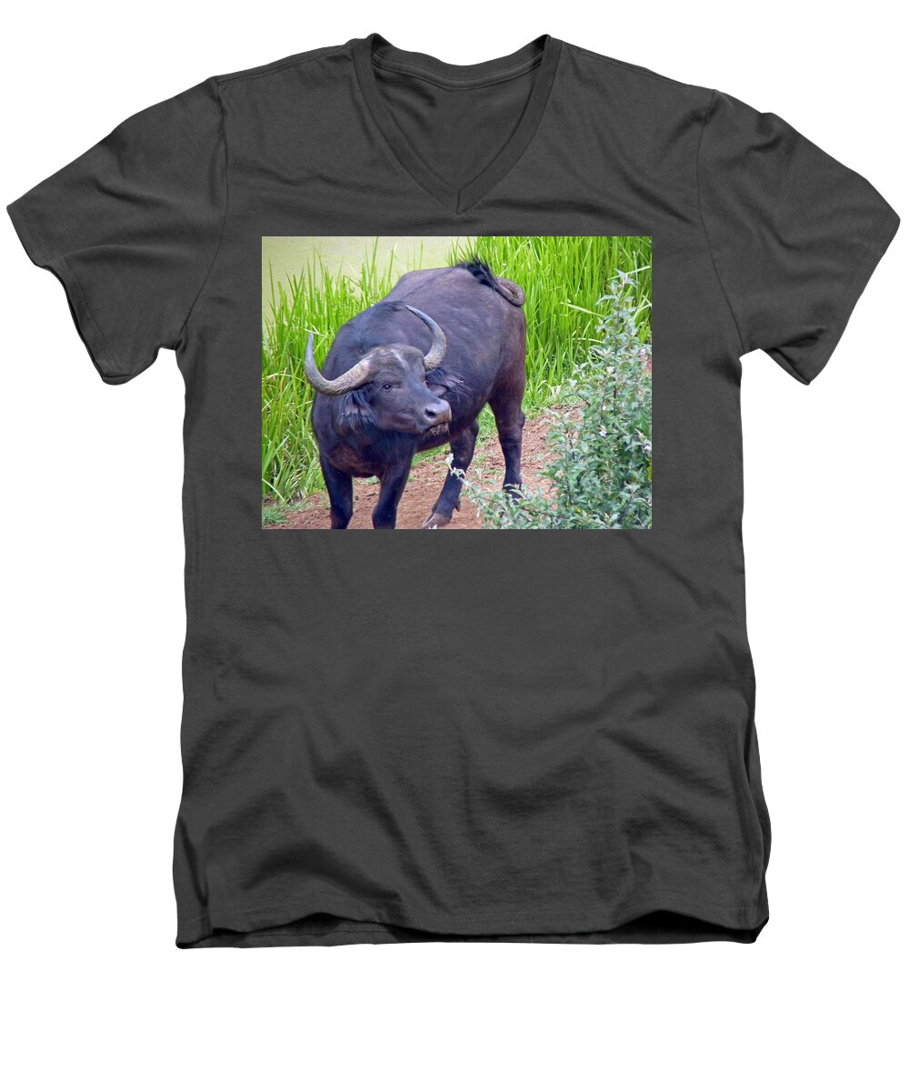 Wildlife Men's V-Neck T-Shirt featuring the photograph Water Buffalo by Tony Murtagh
