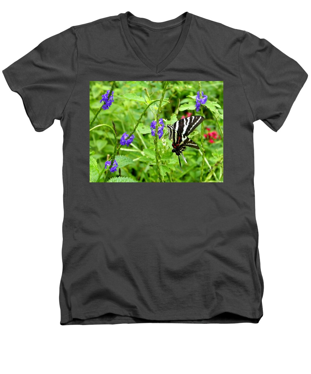 Nature Men's V-Neck T-Shirt featuring the photograph Zebra Swallowtail on Blue Porterweed by Judy Wanamaker