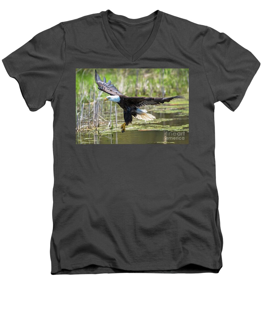 Bald Eagle Men's V-Neck T-Shirt featuring the photograph Bald Eagle-3175 by Steve Somerville