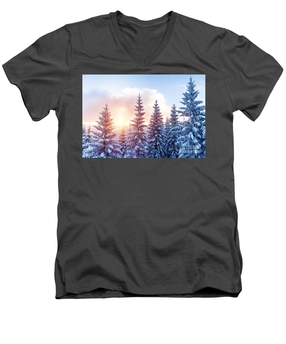 Alp Men's V-Neck T-Shirt featuring the photograph Beautiful winter forest #1 by Anna Om