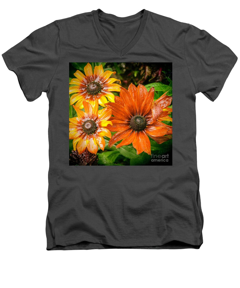 Flower Men's V-Neck T-Shirt featuring the photograph Black-eyed Susan #2 by Barry Weiss