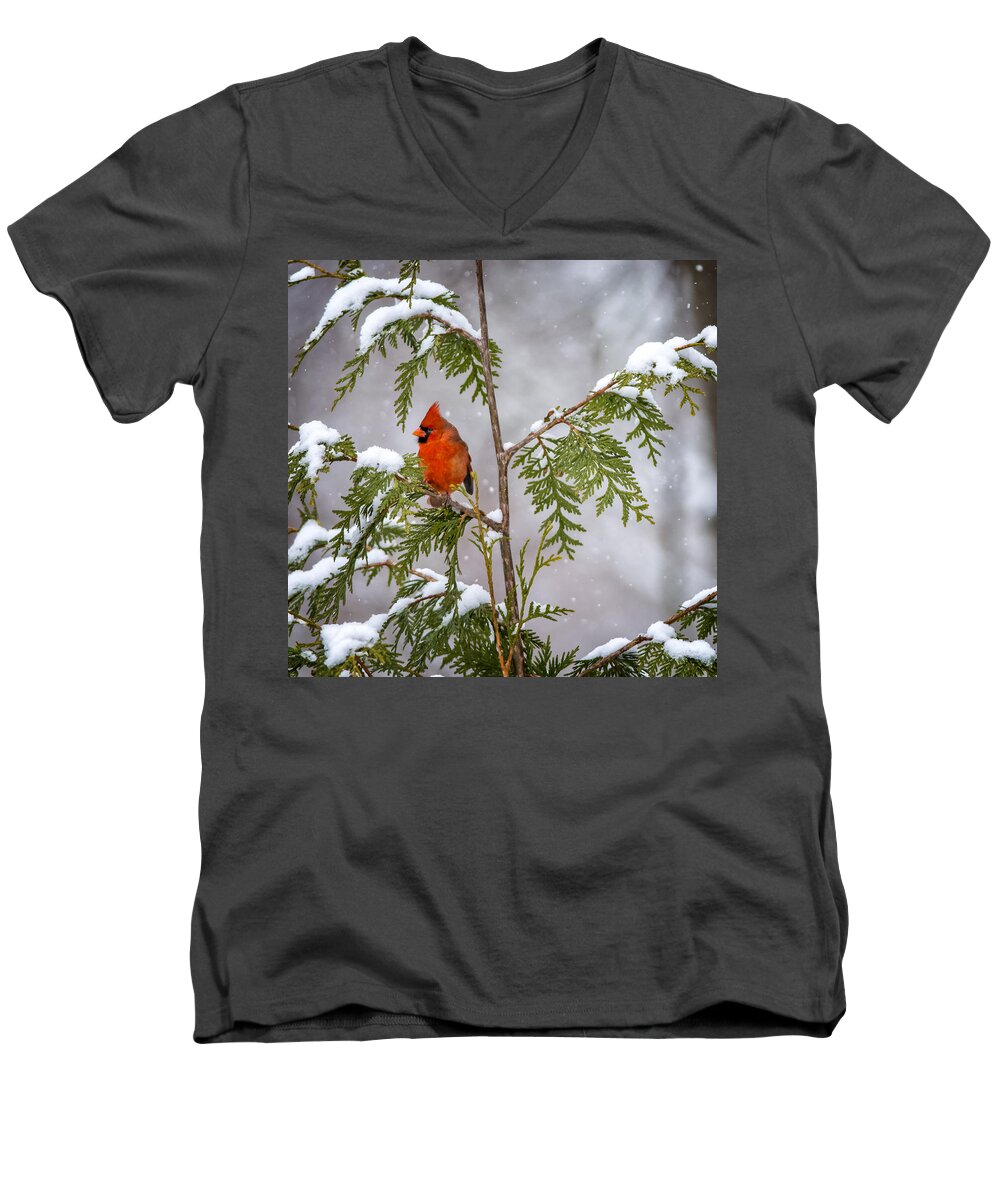 Bird Men's V-Neck T-Shirt featuring the photograph Cardinal in the Snow #1 by David Kay