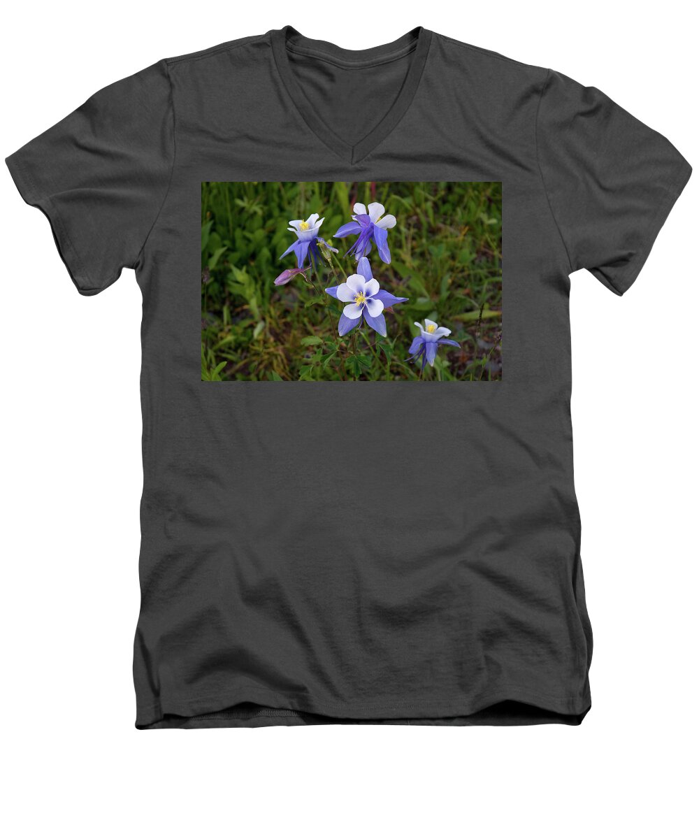Colorado Men's V-Neck T-Shirt featuring the photograph Colorado Columbine by Steve Stuller
