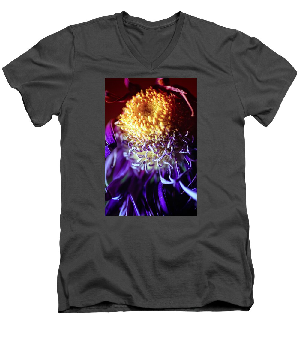 Chrysanthemum Men's V-Neck T-Shirt featuring the photograph Dying Purple Chrysanthemum Flower Background #1 by John Williams