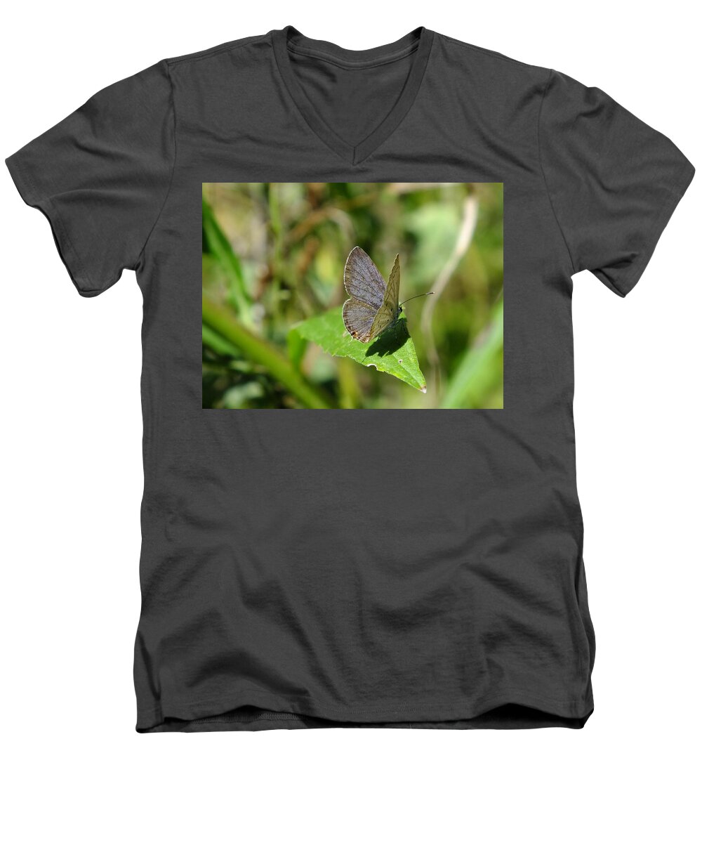 Nature Men's V-Neck T-Shirt featuring the photograph Eastern Tailed Blue Butterfly #1 by Peggy King