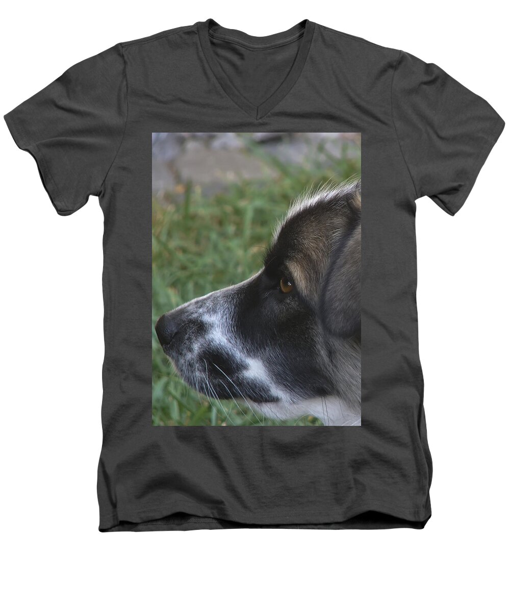 Pets Men's V-Neck T-Shirt featuring the photograph Eliza by Rhonda McDougall