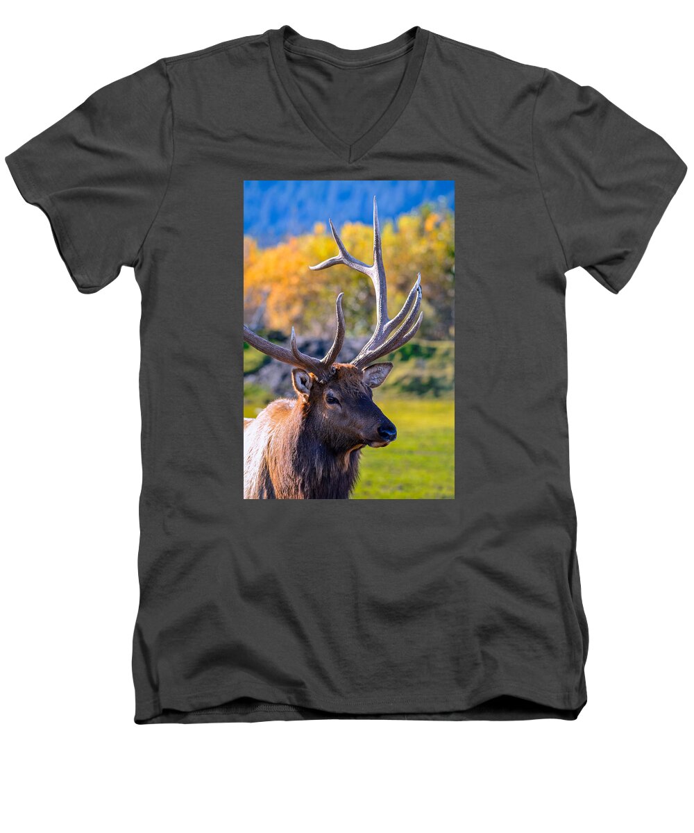  Men's V-Neck T-Shirt featuring the photograph Elk 2 by Brian Stevens