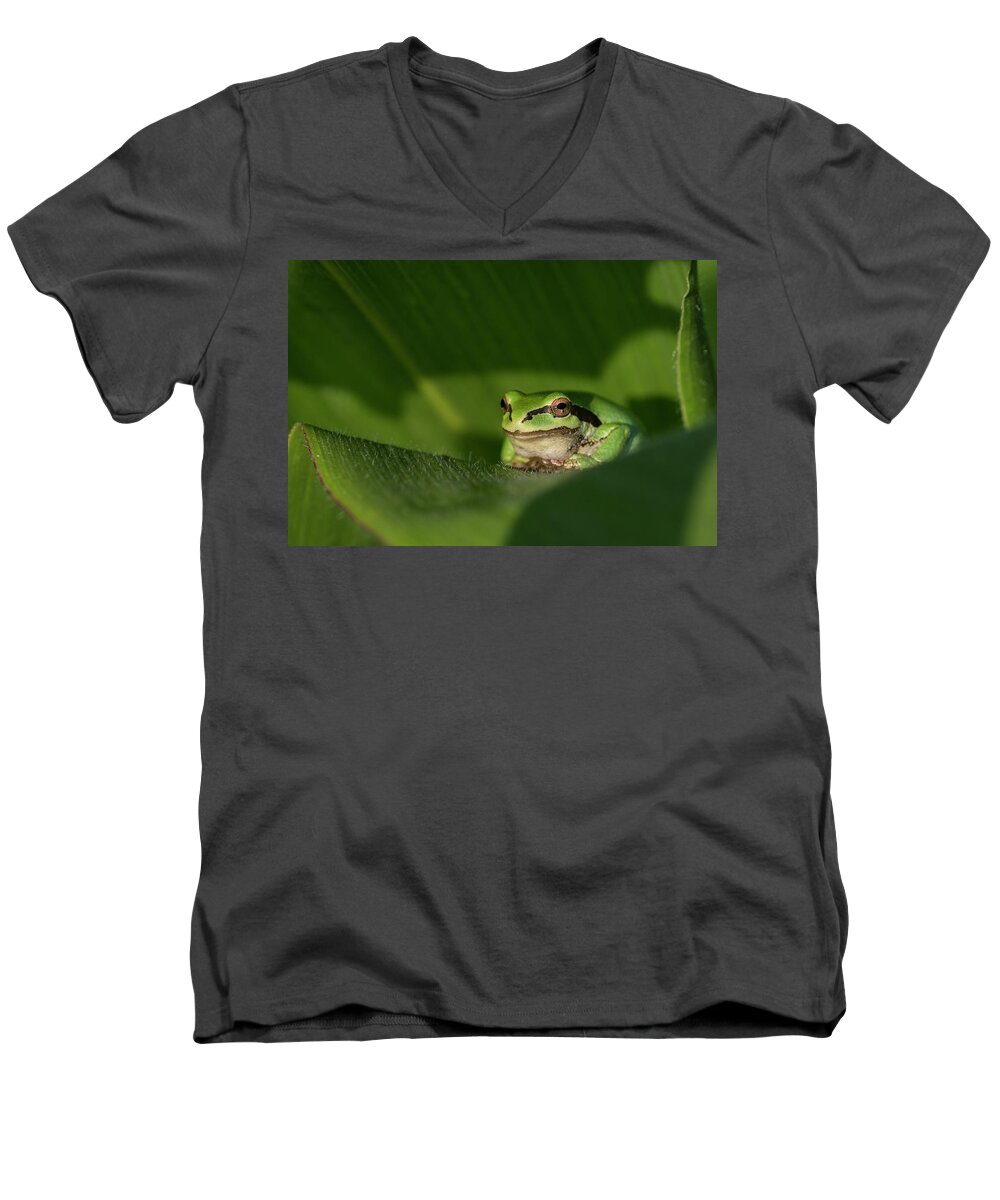 Amphibian Men's V-Neck T-Shirt featuring the photograph Garden Guardian #2 by Robert Potts