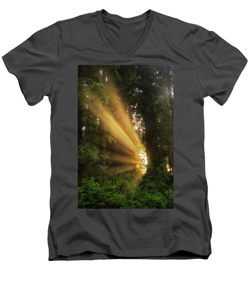 California Men's V-Neck T-Shirt featuring the photograph Into the Light #1 by Nicki Frates