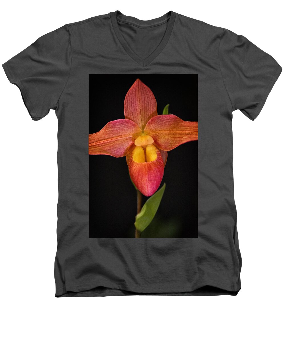 Orchid Men's V-Neck T-Shirt featuring the photograph Lady Slipper #1 by Robert Fawcett
