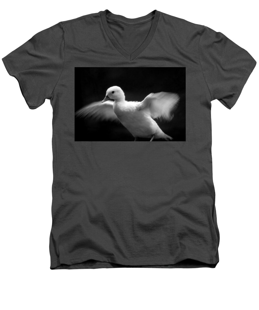 Duck Men's V-Neck T-Shirt featuring the photograph Mandarin Duck #1 by Nathan Abbott