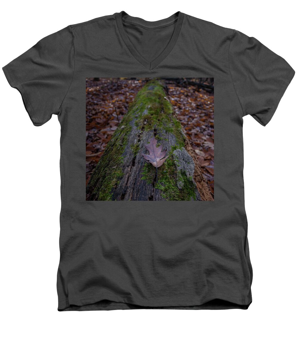 Michigan Men's V-Neck T-Shirt featuring the photograph Michigan Autumn #2 by Pravin Sitaraman