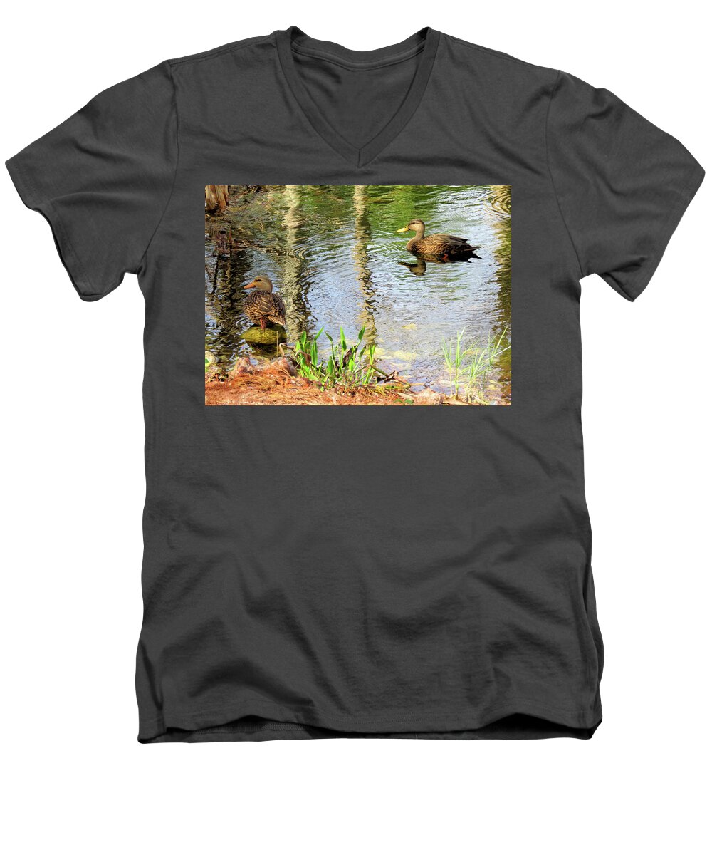 Duck Men's V-Neck T-Shirt featuring the photograph Mottled Duck Pair #3 by Rosalie Scanlon