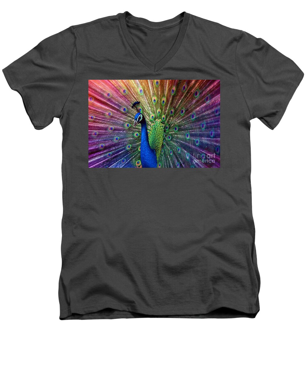 Beauty Men's V-Neck T-Shirt featuring the photograph Peacock #1 by Hannes Cmarits