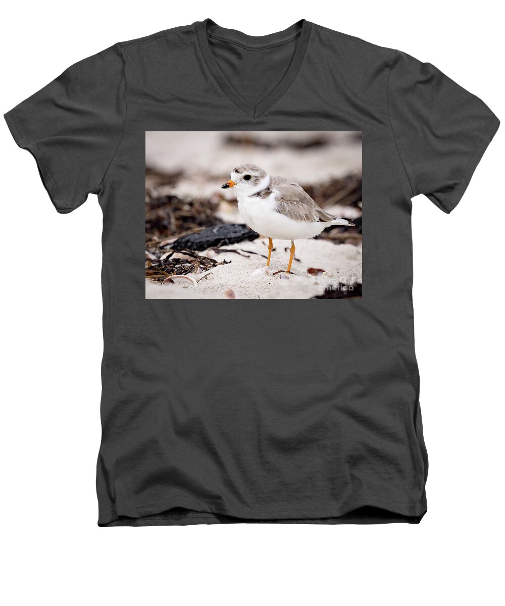 Piping Plover Men's V-Neck T-Shirt featuring the photograph Piping Plover by Jim Gillen
