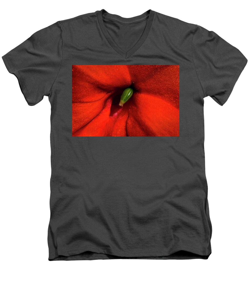 Jay Stockhaus Men's V-Neck T-Shirt featuring the photograph Red and Green #1 by Jay Stockhaus