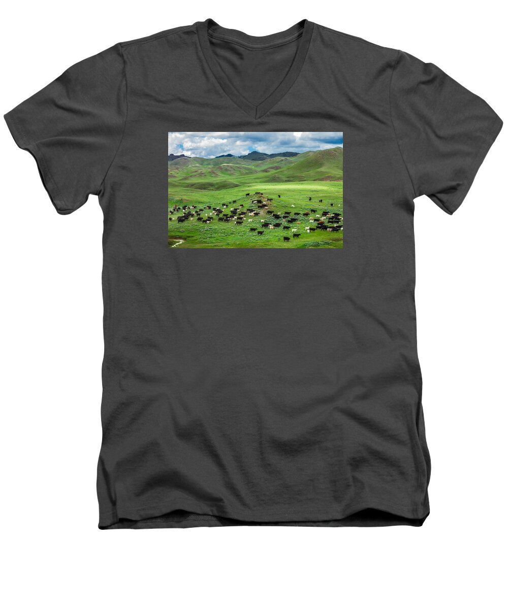 Cattle Men's V-Neck T-Shirt featuring the photograph Salt and Pepper by Todd Klassy