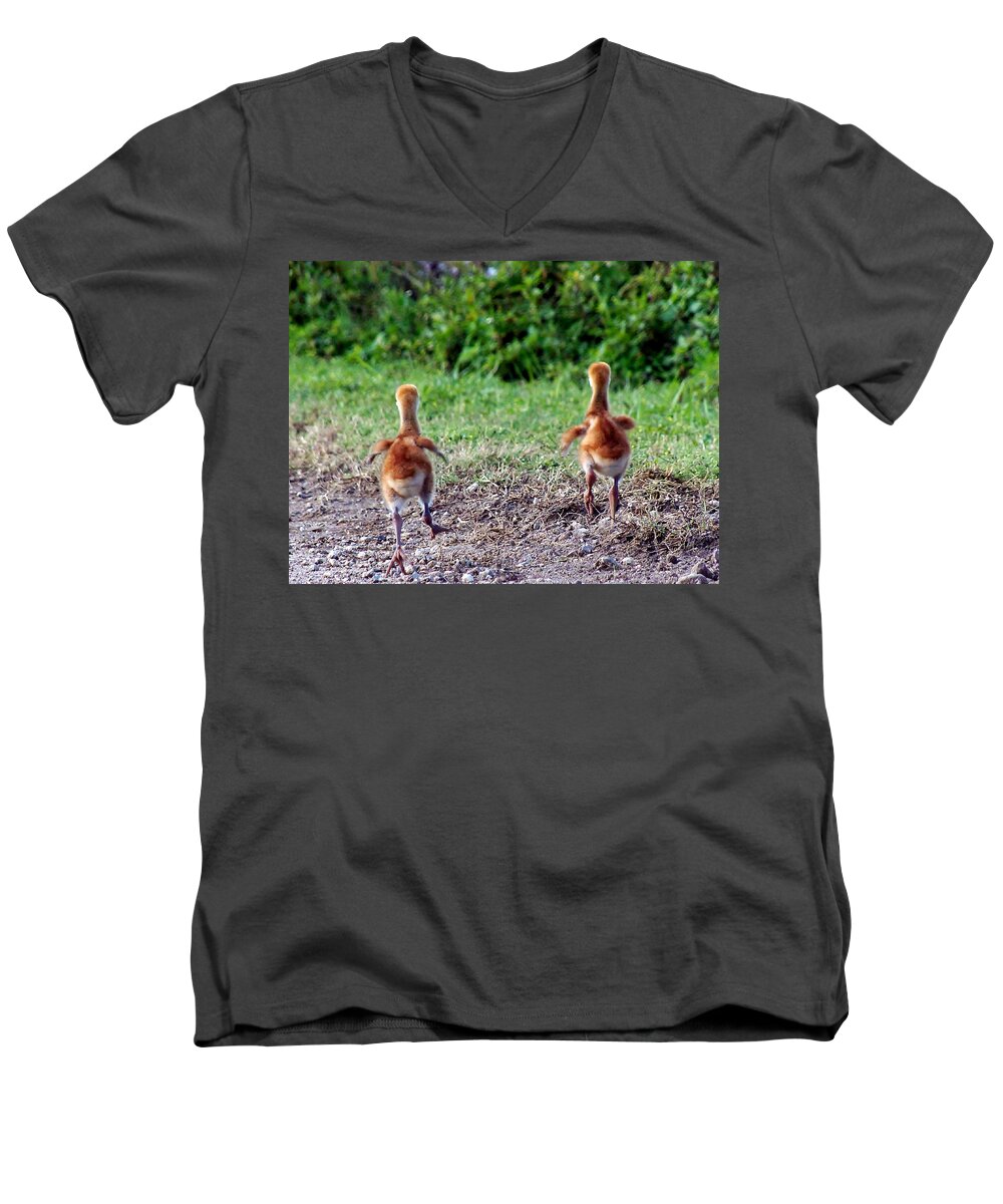 Animals Men's V-Neck T-Shirt featuring the photograph Sandhill Crane Chicks 000 #1 by Christopher Mercer