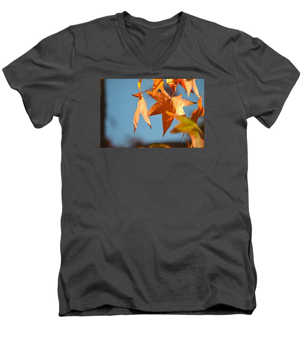  Men's V-Neck T-Shirt featuring the photograph It Feels Like Fall by Alex King