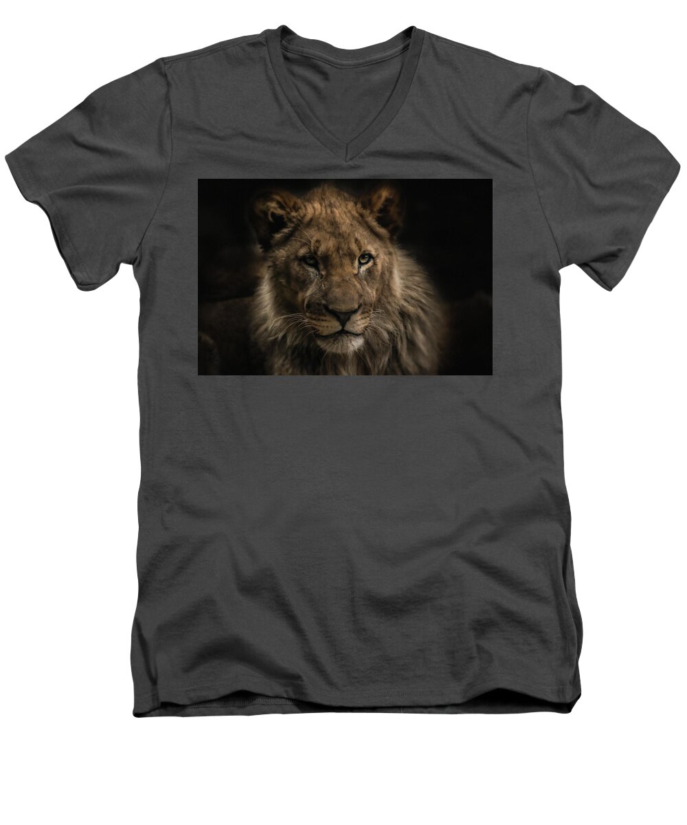 Lion Men's V-Neck T-Shirt featuring the photograph Young Lion #1 by Christine Sponchia