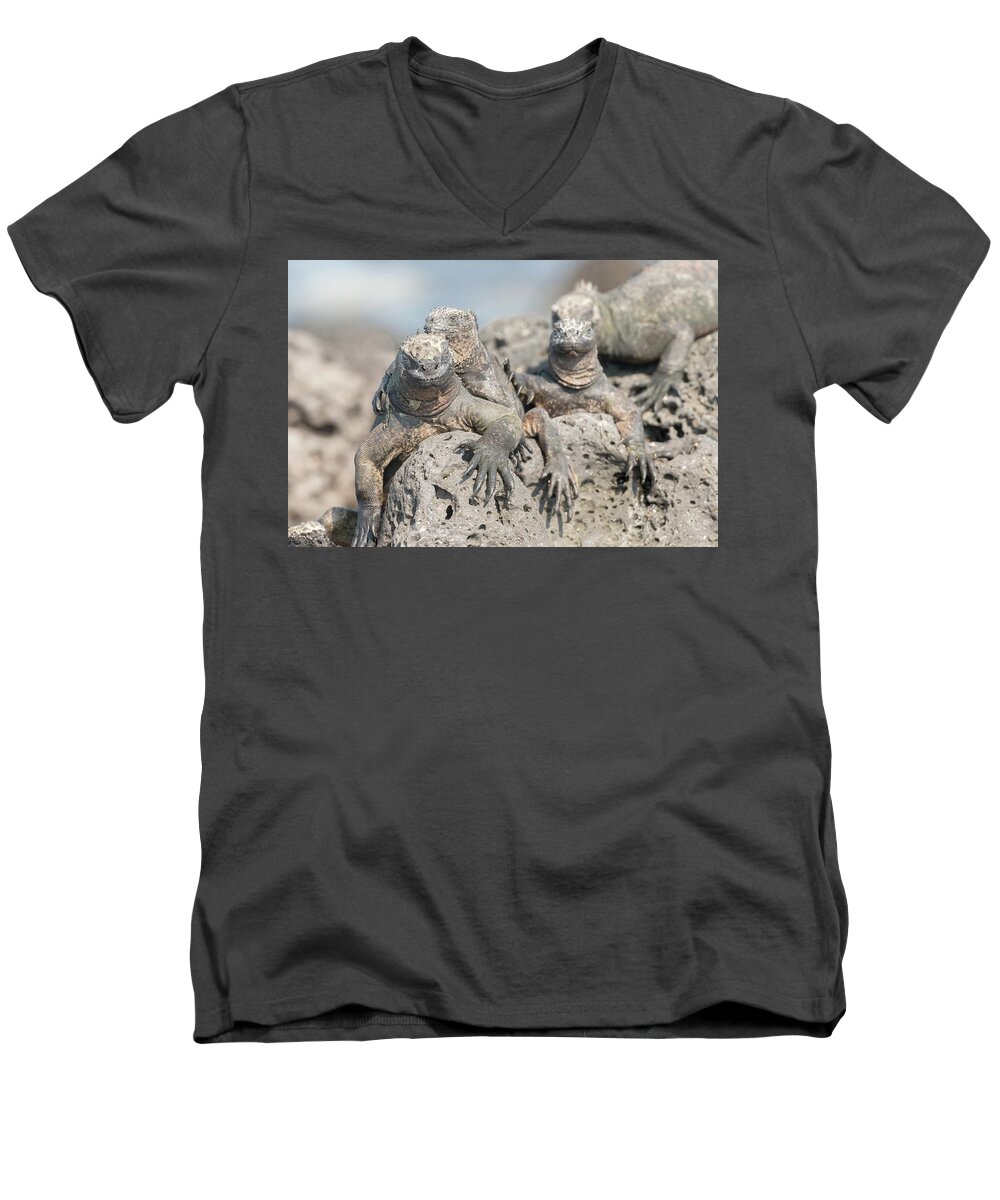 Marine Iguana Men's V-Neck T-Shirt featuring the photograph Marine Iguana on Galapagos Islands #10 by Marek Poplawski
