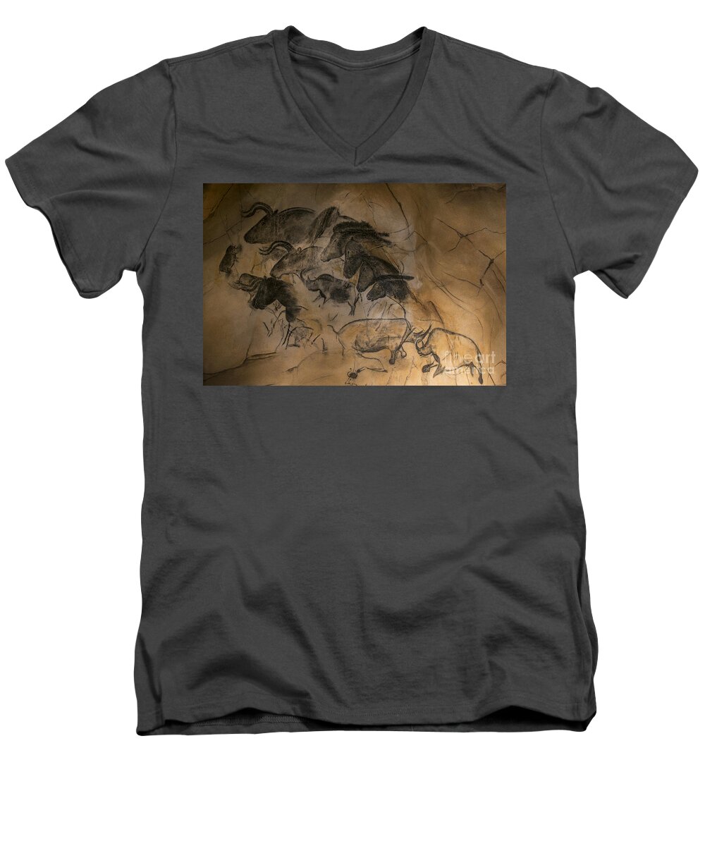 Replica Men's V-Neck T-Shirt featuring the photograph 150501p084 by Arterra Picture Library