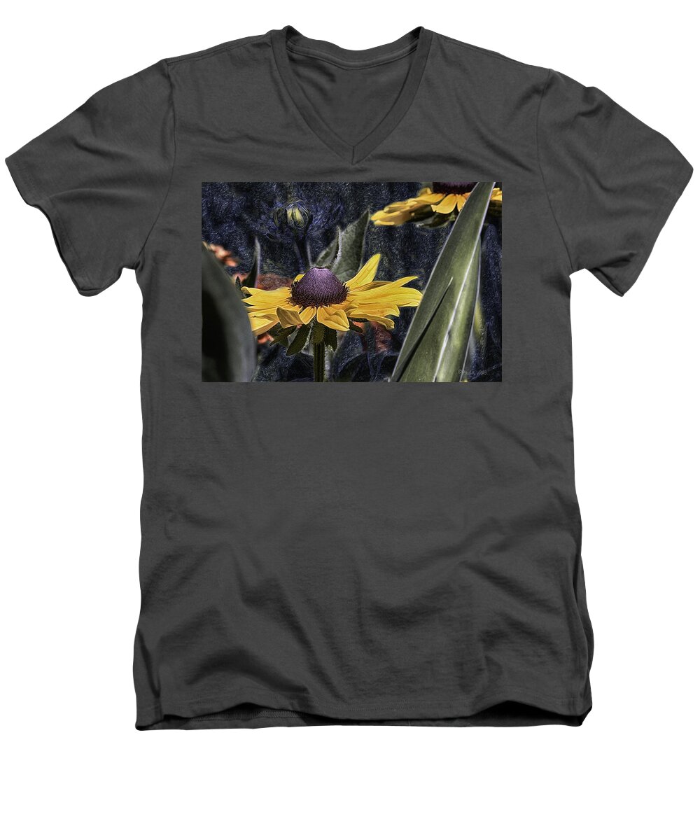 Starry Night Men's V-Neck T-Shirt featuring the photograph Untitled00vv by Paul Vitko