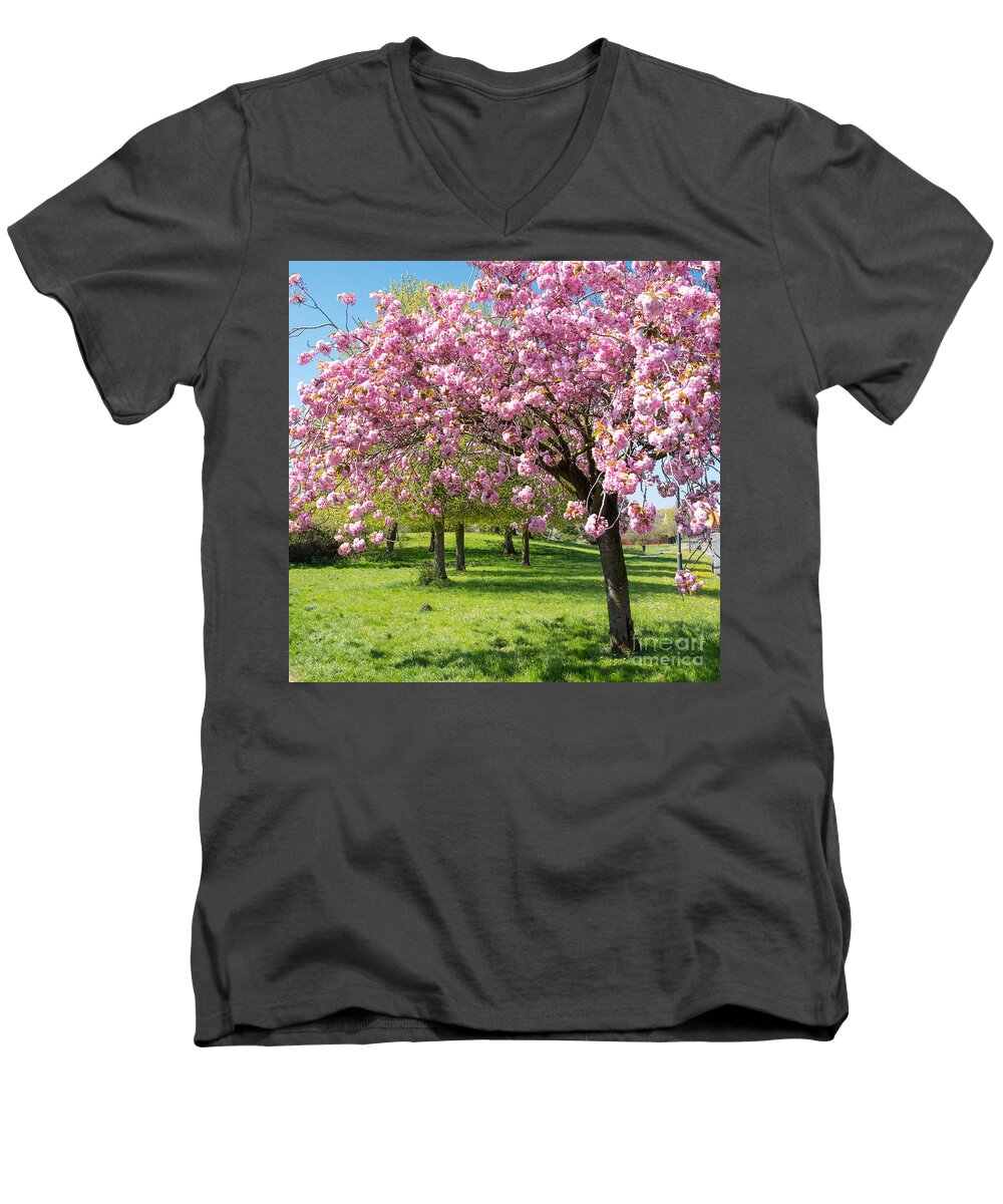 Color Men's V-Neck T-Shirt featuring the photograph Cherry blossom tree #2 by Colin Rayner