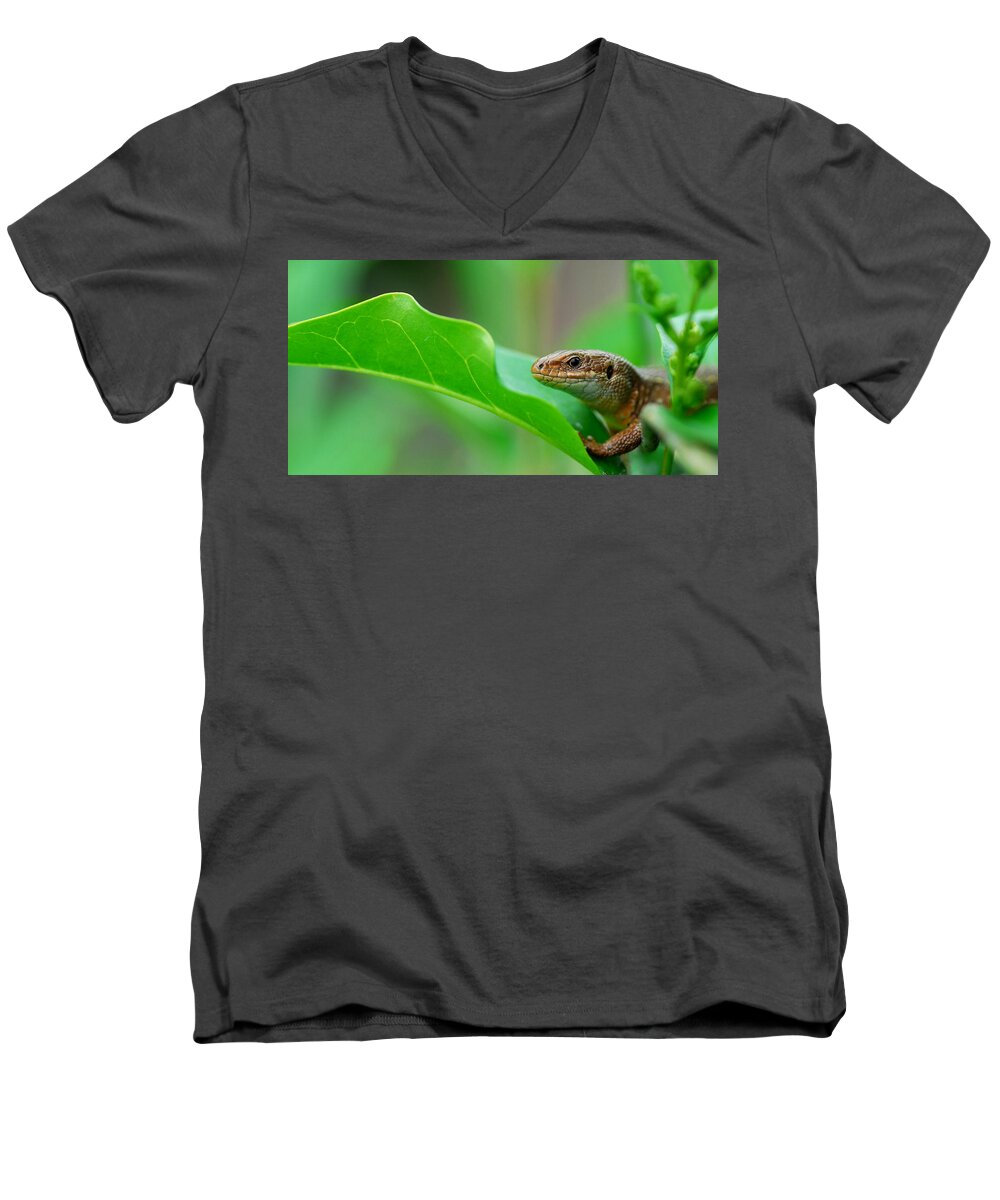 Common Or Viviparous Lizard In The Highlands Of Scotland Men's V-Neck T-Shirt featuring the photograph Common Lizard #2 by Gavin MacRae