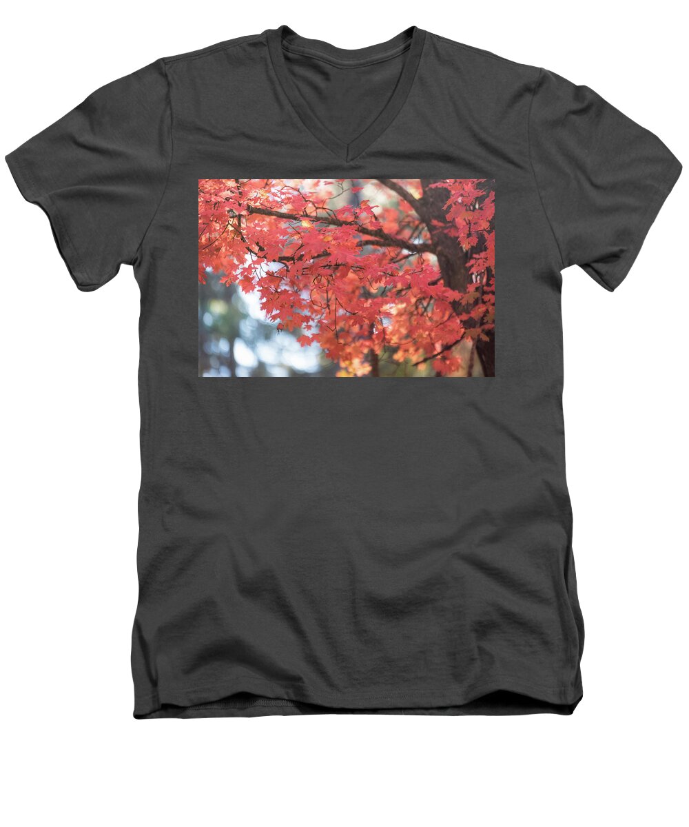 Maple Leaves Men's V-Neck T-Shirt featuring the photograph Gently Swaying In The Wind #2 by Saija Lehtonen