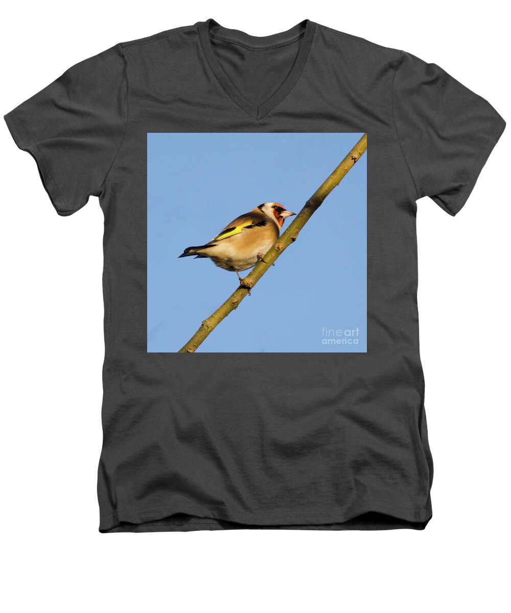 Goldfinch Men's V-Neck T-Shirt featuring the photograph Goldfinch #2 by Steev Stamford