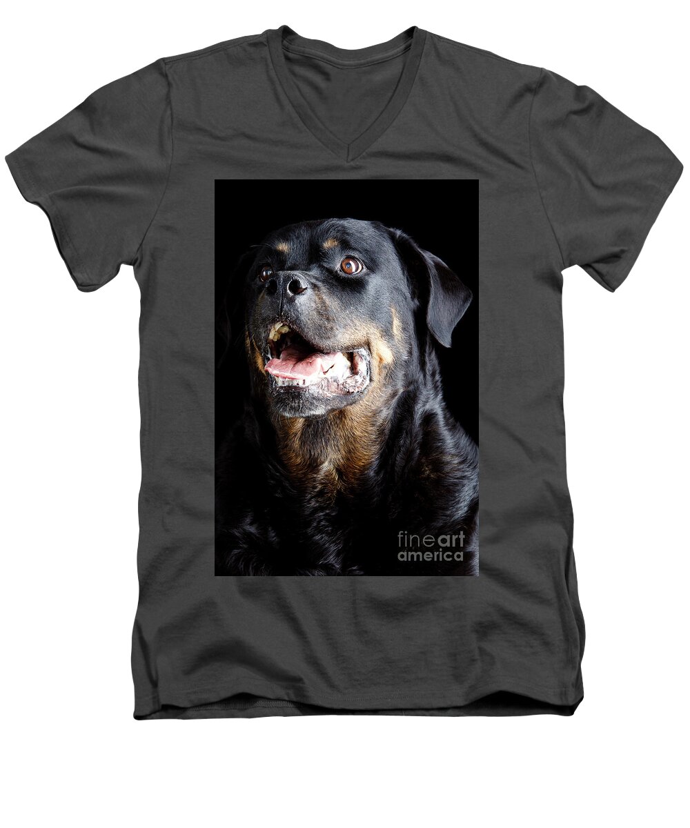 Animal Men's V-Neck T-Shirt featuring the photograph Rottweiler dog #2 by Gunnar Orn Arnason