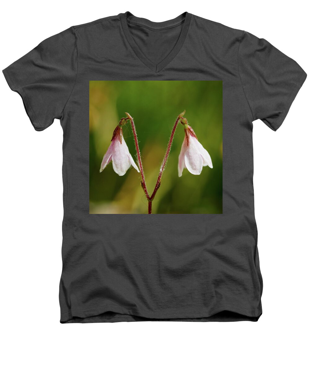 Finland Men's V-Neck T-Shirt featuring the photograph Twinflower #3 by Jouko Lehto