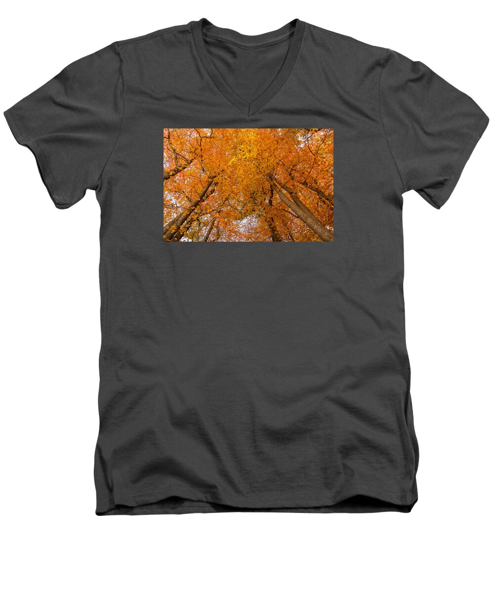 Park Men's V-Neck T-Shirt featuring the photograph Fall foliage #5 by SAURAVphoto Online Store