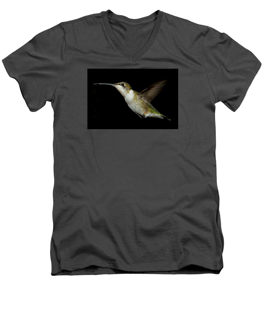 Female Ruby-throated Hummingbird Men's V-Neck T-Shirt featuring the photograph Female Ruby-Throated Hummingbird #7 by Robert L Jackson