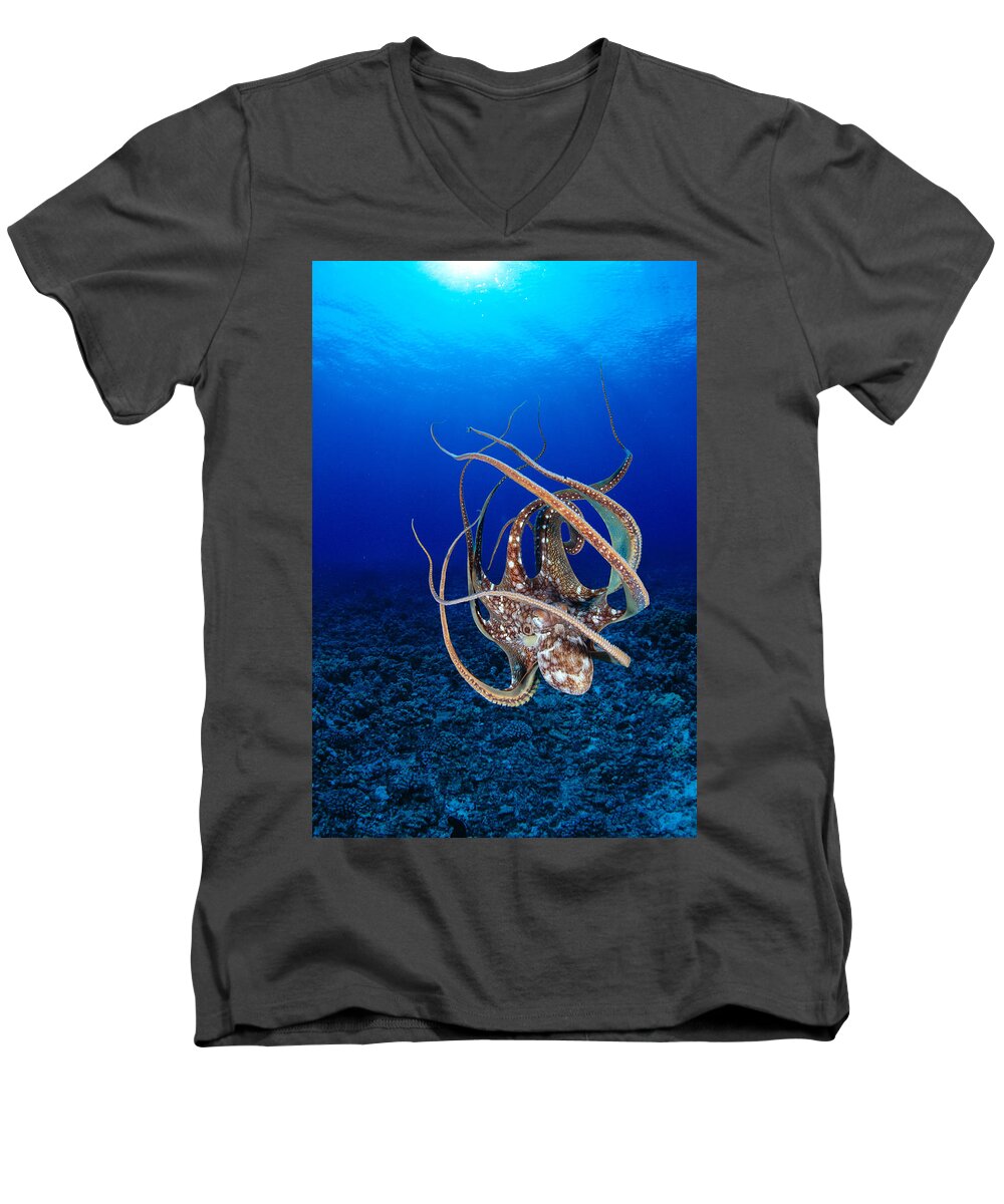 Animal Art Men's V-Neck T-Shirt featuring the photograph Hawaii, Day Octopus #9 by Dave Fleetham - Printscapes