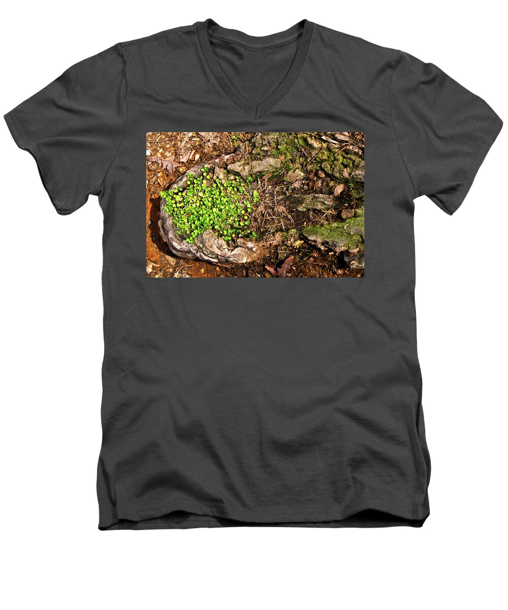 Stump Men's V-Neck T-Shirt featuring the photograph A Bowl of Greens by George Taylor