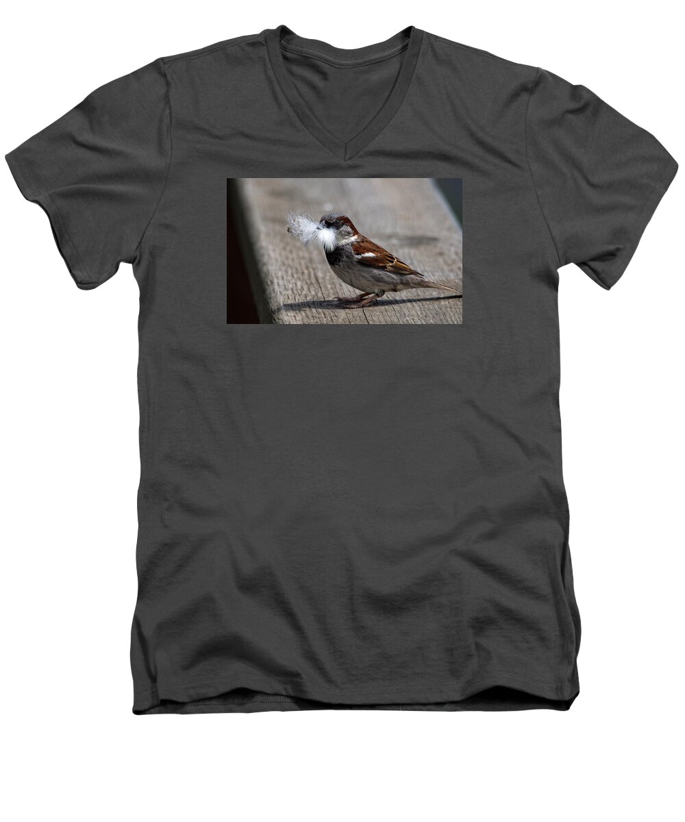 Sparrow Men's V-Neck T-Shirt featuring the photograph A Feather for the Nest by Gary Karlsen