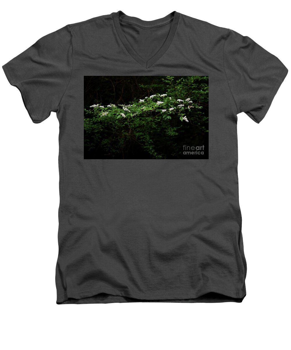Nature Men's V-Neck T-Shirt featuring the photograph A Light In The Darkness by Skip Willits