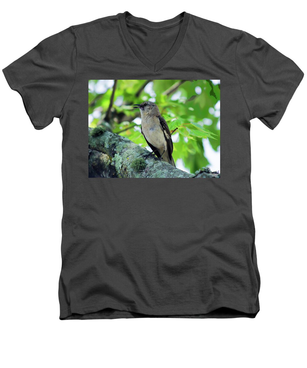  Northern Male Mockingbirds Men's V-Neck T-Shirt featuring the photograph A Mockingbird Song by M Three Photos