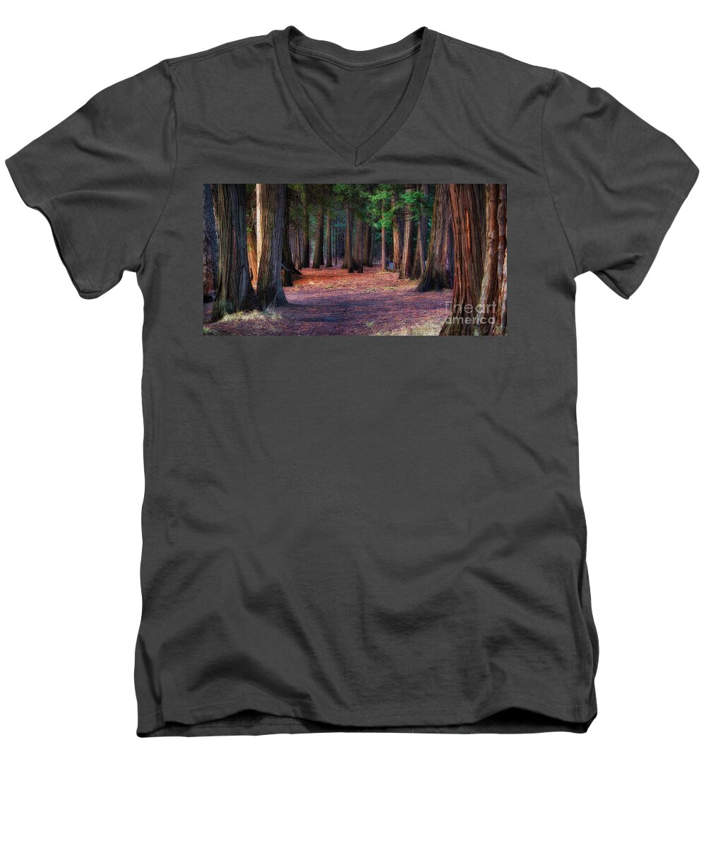 Yosemite National Park Men's V-Neck T-Shirt featuring the photograph A Path of Redwoods by Anthony Michael Bonafede