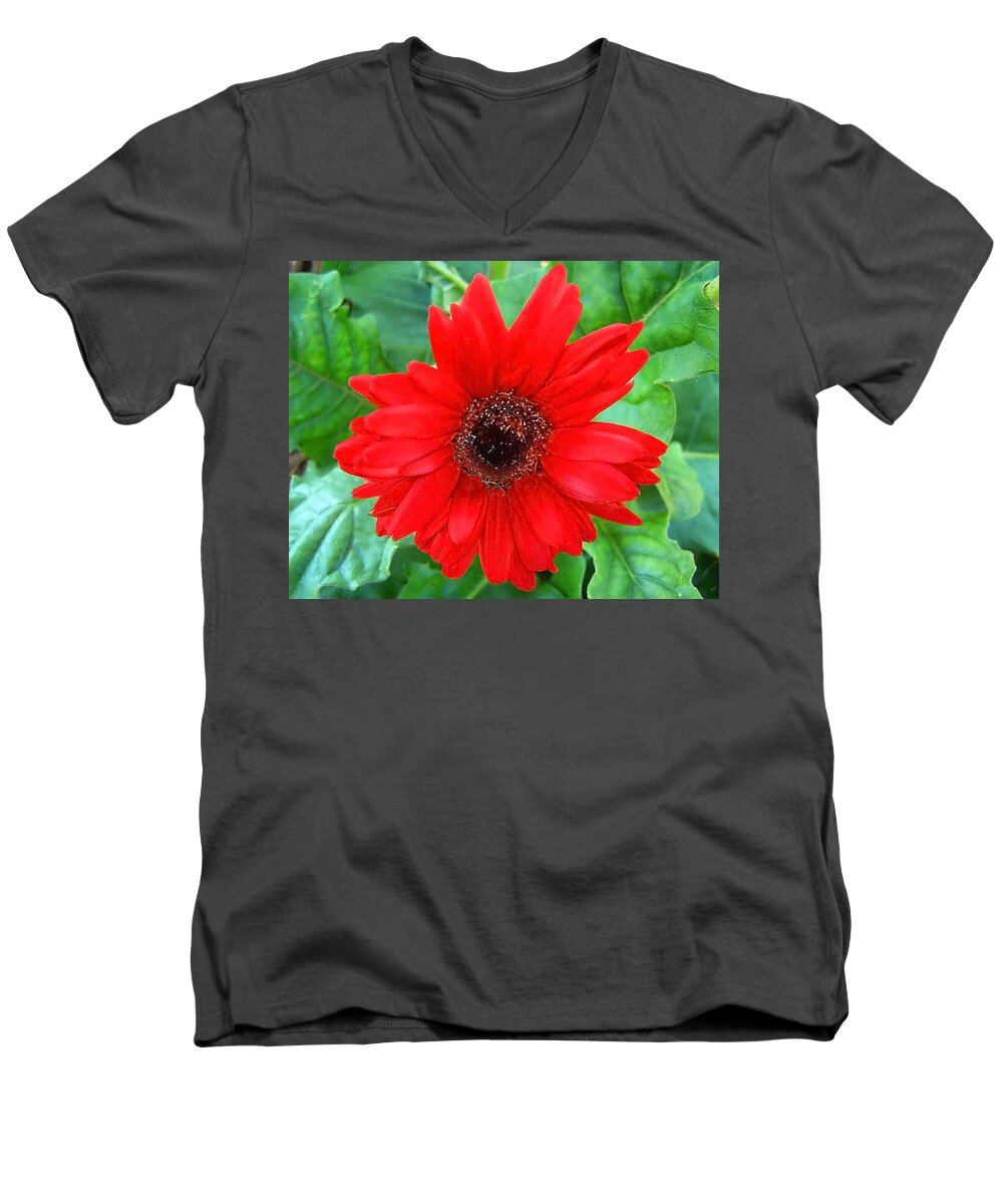 Flower Men's V-Neck T-Shirt featuring the photograph A True Red by Sandi OReilly