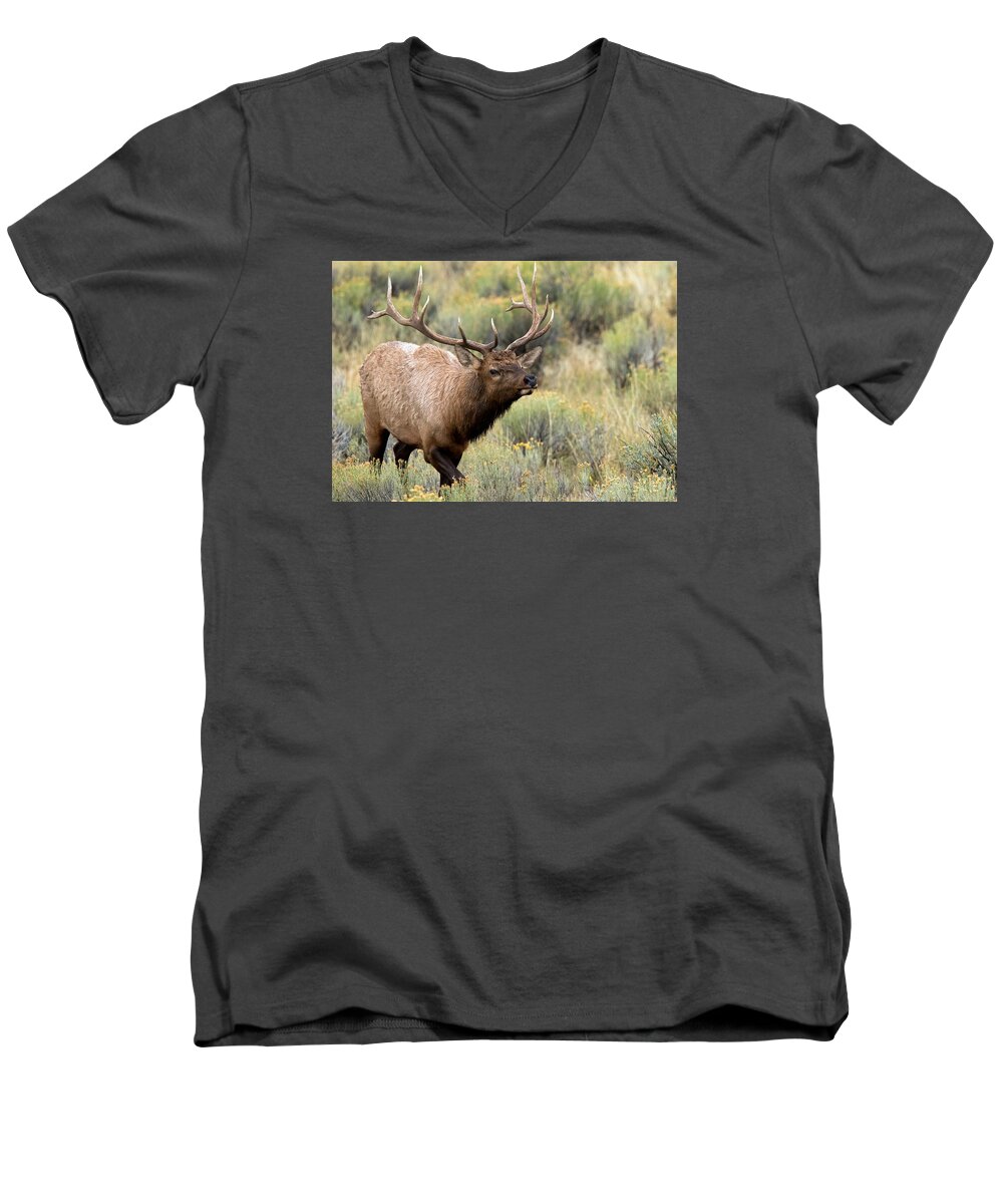 Elk Men's V-Neck T-Shirt featuring the photograph Adventure by Shari Sommerfeld