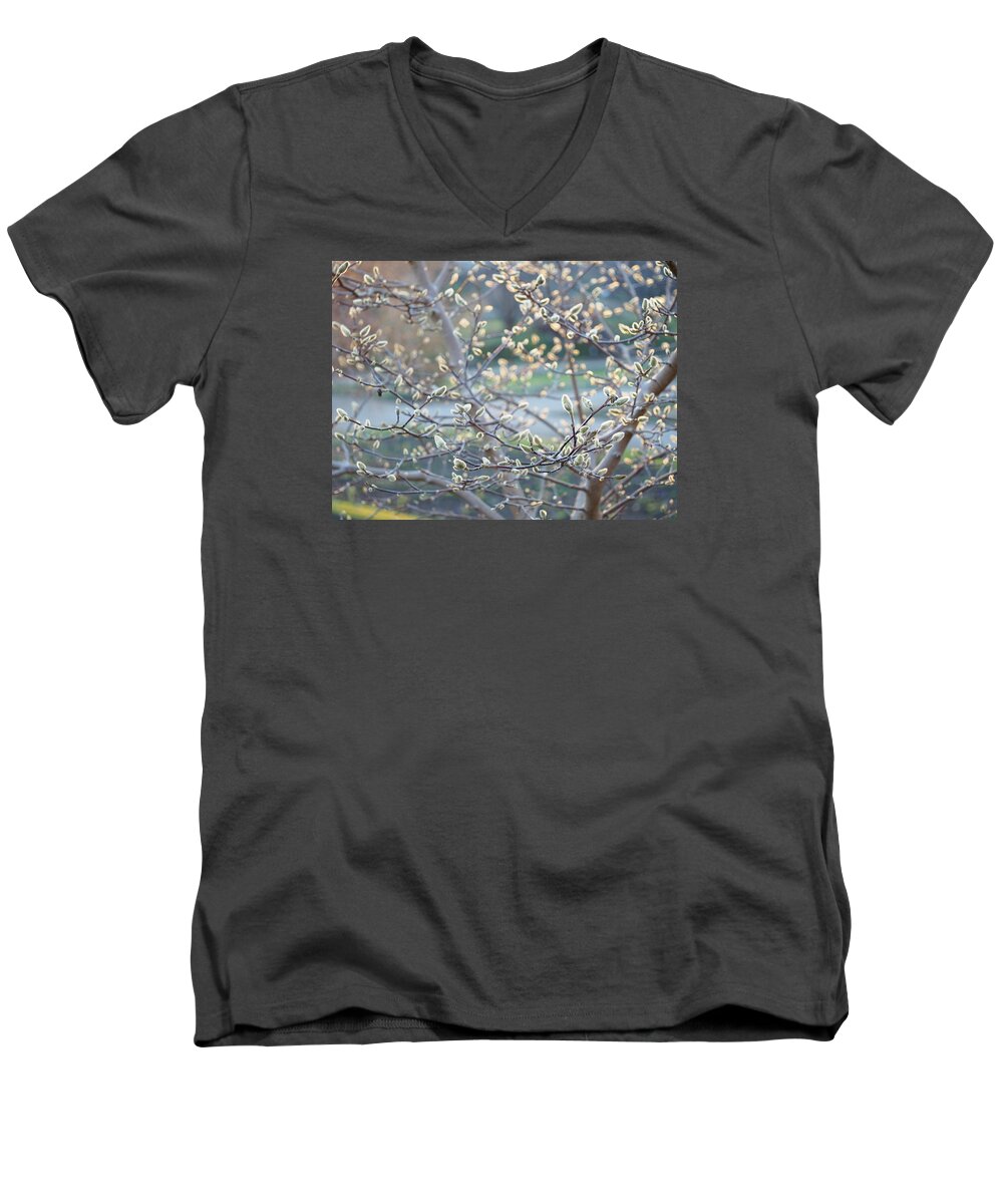 Abstract Men's V-Neck T-Shirt featuring the photograph Afternoon sun by Jessica Myscofski
