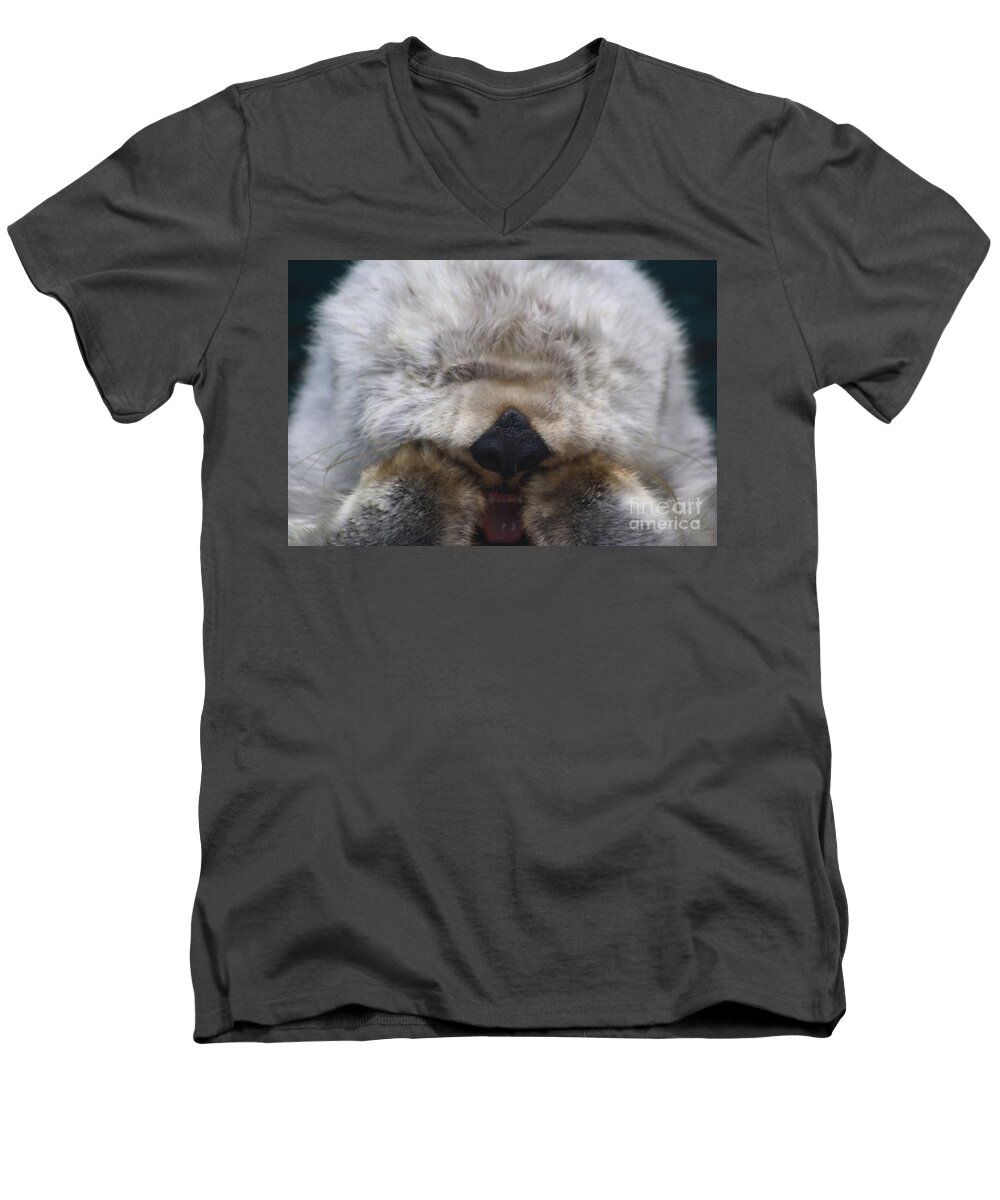 Sea Otters Men's V-Neck T-Shirt featuring the photograph Ahhhhhhhh by Nick Gustafson